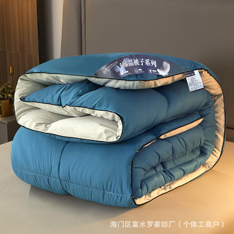 Foreign Trade Home Textiles Duvet Spring & Fall Quilt Core Winter Quilt Thickeneded Warm Single and Double Student Quilt Winter Quilt