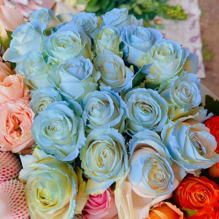 Yunnan Flower Wholesale Rose Real Flower Flower Shop Daytime Event Special Flowers First-Hand Source Roses Shipped Nationwide