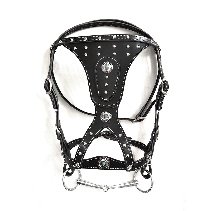 Horse Harness with Pure Cowhide Reins, Horse Leash, Horse Gear, Horse Tie, Horse Equipment, New Dragon Set with Metal Buckle, Elegant