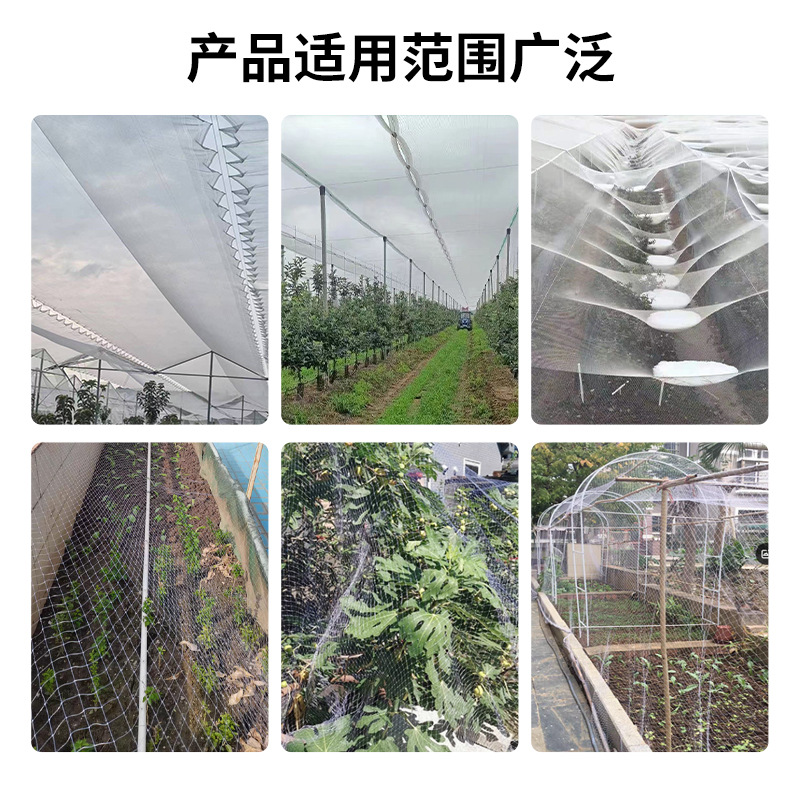 Anti-hail net anti-insect and anti-bird net orchard apple tree greenhouse anti-hail polyethylene new material anti-frost net wholesale