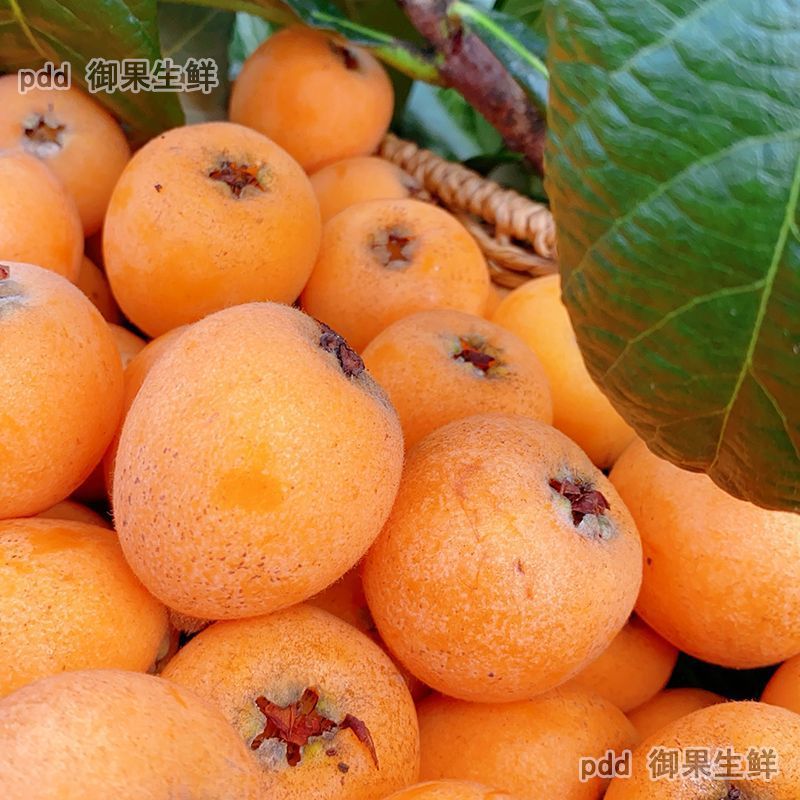 Свежие лонганы из Юннани, Мэнцзы, свежий вес для беременных женщин, крупные фрукты в сезон, свежесобранные и отправленные