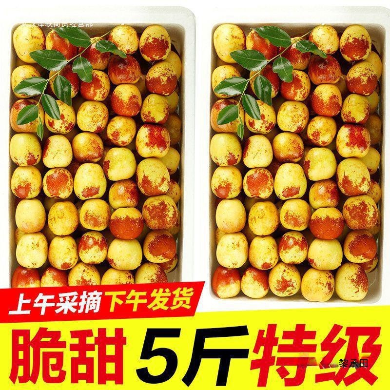 Свежие сезонные финики Чжаньхуа из Шаньдуна, крупные хрустящие сладкие супер зелёные финики, оптовая цена, не Дали Цзин