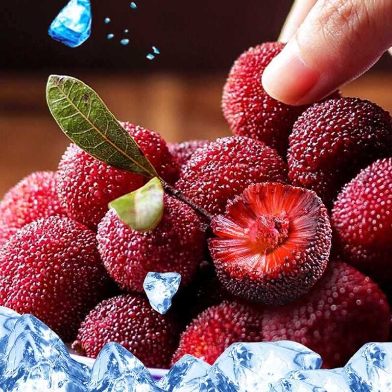 Jingdefu Frozen Bayberry 50g Small Bag Ready-To-Eat Childhood Snacks Sweet and Sour Fruit Fresh Iced Bayberry Balls