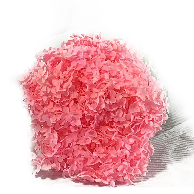 Yunnan Dried Flower Hydrangea Petals DIY Flower Wedding Bouquet Picture Frame Immortal Flower Unicorn Real Flower Romantic