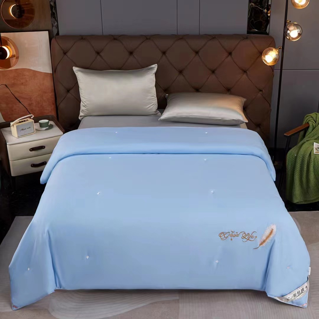 Cross-border quilt core silk quilt thickened winter quilt high-end handmade mulberry silk summer quilt student dormitory spring and autumn quilt
