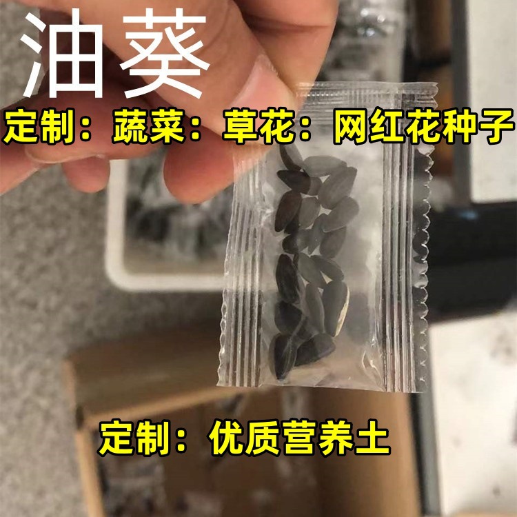 Transparent Small Package Candy Bag with Seeds, Grass, Flowers, Vegetables, and Floral Decorations, Sealed, Small Gift for Children, Gift for Elementary School Students, Toy