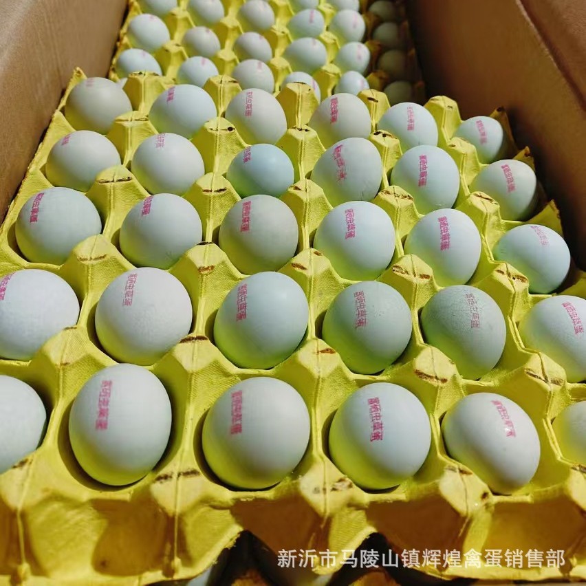 Wholesale Fresh Cordyceps Eggs, Selenium-Rich, Anti-Biotic-Free Eggs, Native Eggs, Stupid Eggs, Grass Eggs, Inkjet Printing