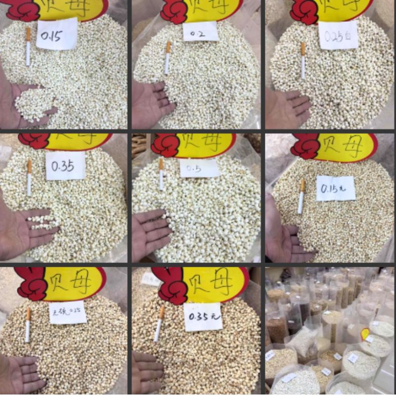 Mother-Of-Pearl Zhejiang Fritillaria Pingbei 500g Spot Bulk Wholesale Grindable Powder Ultra-Fine Powder Straight Batch Small Particle Fritillaria