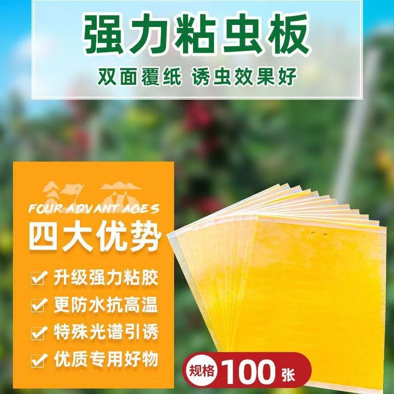Yellow Board Double-Sided Insect Trap Blue Board/Greenhouse Orchard Tea Garden Fruit Fly Thrips Whitefly Board