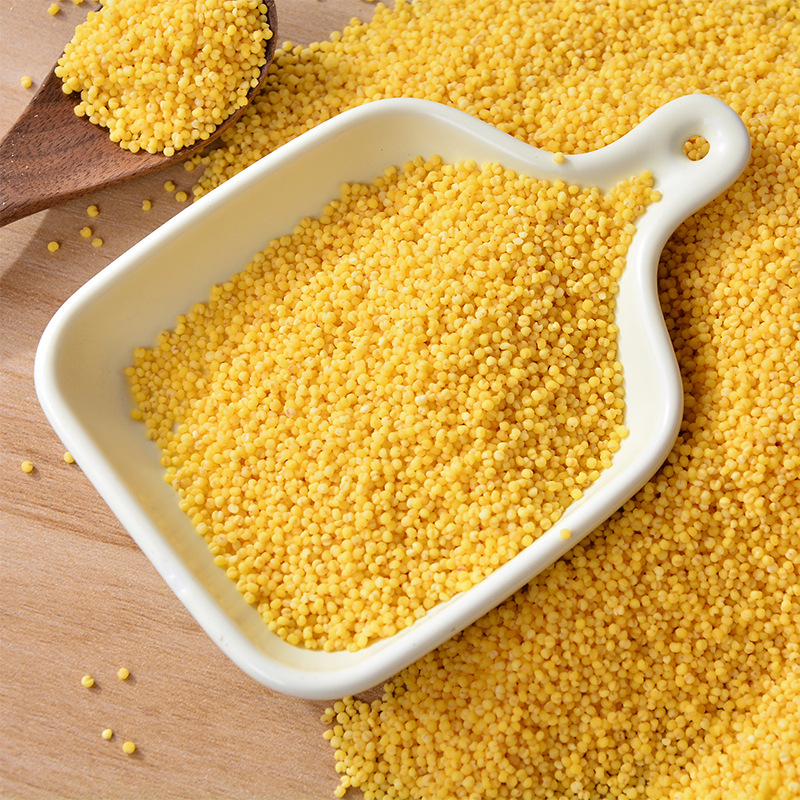 Inner Mongolia Chifeng Aohan District Huanggong Millet New Rice Fragrant Soft Glutinous Breakfast Porridge Rice Whole Grains Coarse Grains