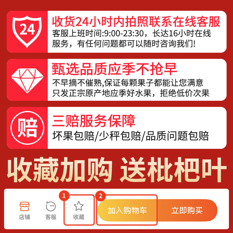 Shunfeng Big Fruit 4.50kg Authentic Yunxiao Loquat Fresh Fruit Fresh Fruit Whole Box Pipa Batch Sweet Seasonal Gift Box