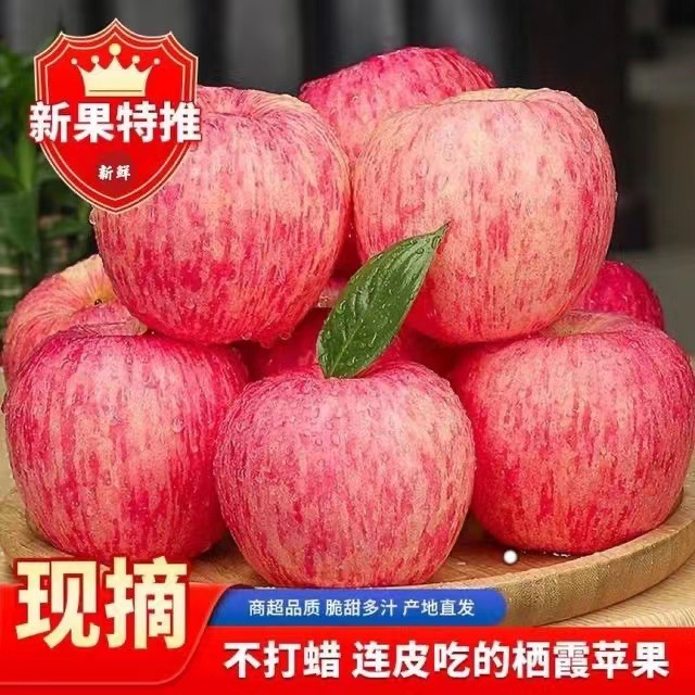 Authentic Yantai Qixia Red Fuji Apples, Crisp, Sweet and Juicy Fresh Apples, Seasonal Fruits, Whole Box Free Shipping Wholesale