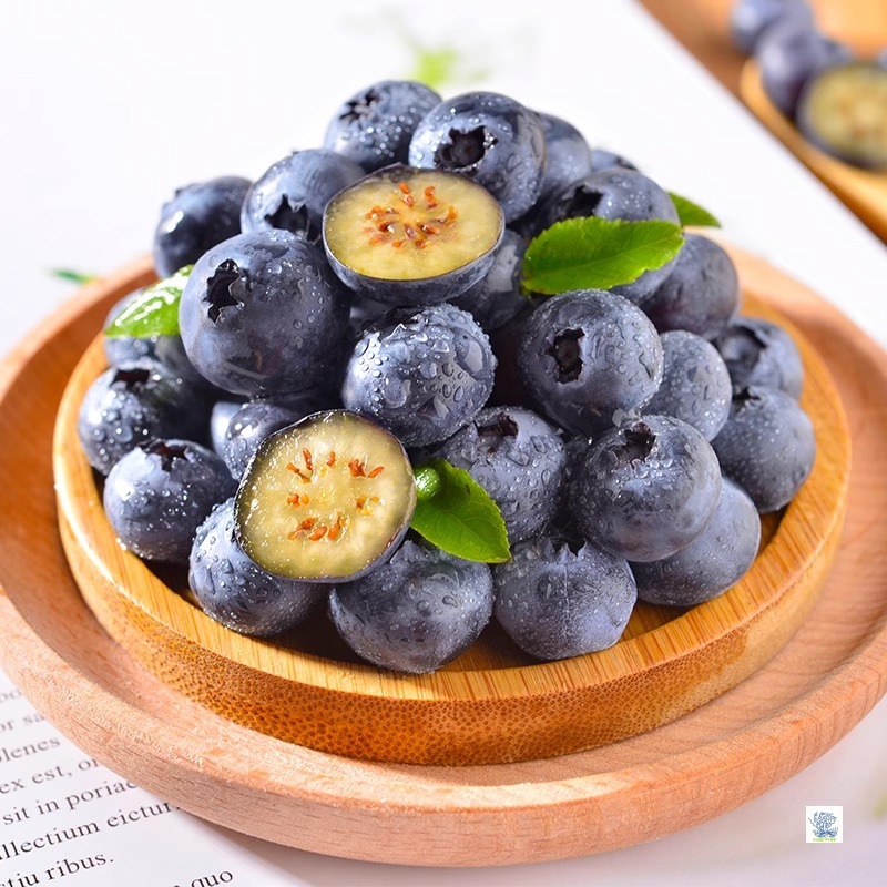 Yunnan Floral Alpine Blueberry Fresh Fruit Seasonal Fruit Branch L25 Whole Extra Large Fruit 15mm + Sf Free Shipping