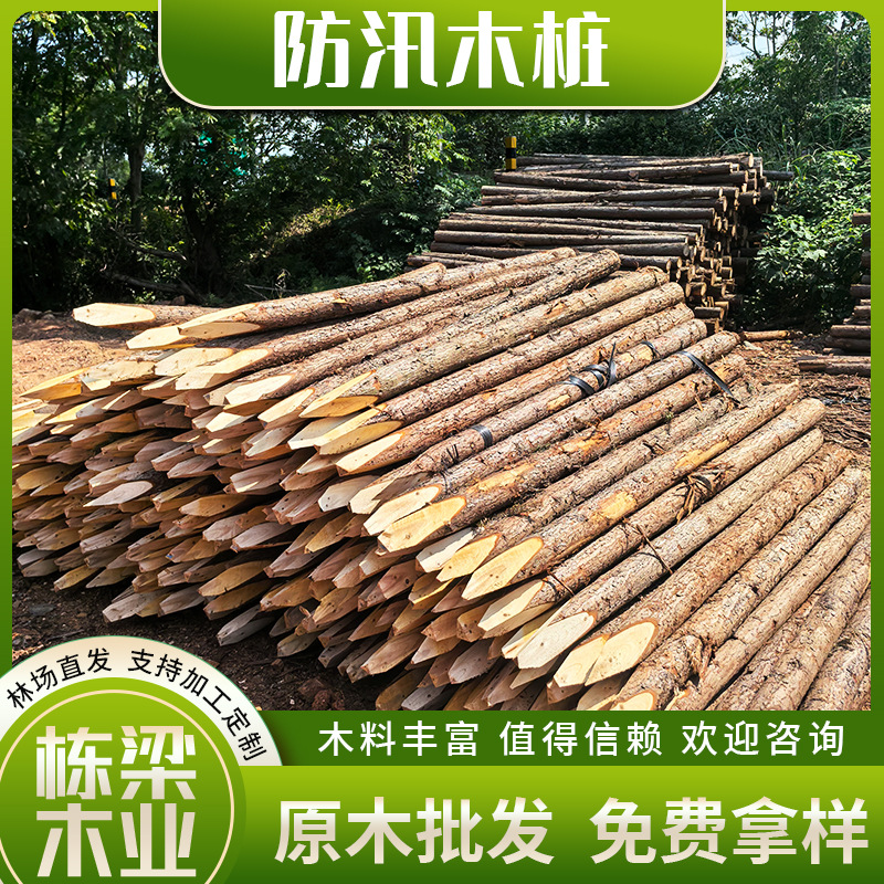 Деревянные сваи для борьбы с наводнениями, река, сосновые сваи, поддерживающие конструкции, проект по укреплению берегов