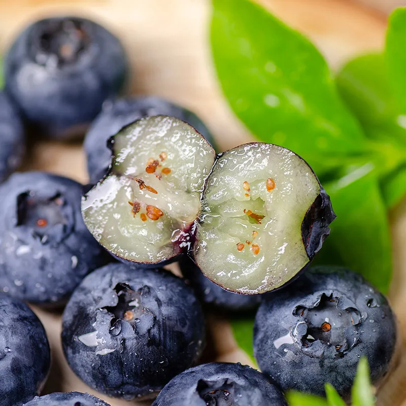 Shandong Alpine Blueberry Fresh Fruit Fresh Picked Fruit Sf Free Shipping Seasonal Fresh Picked Blueberries Drop Shipping