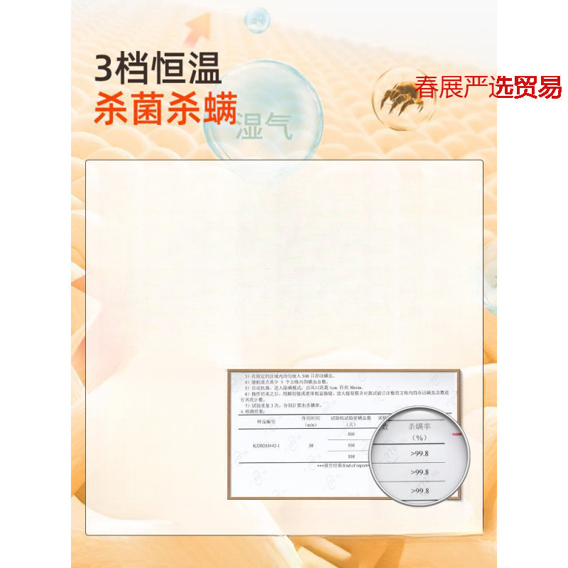 Clothes Dryer Shoe Dryer Household Small Clothes Dryer Warm Quilt Dryer Mite Removal and Dehumidification