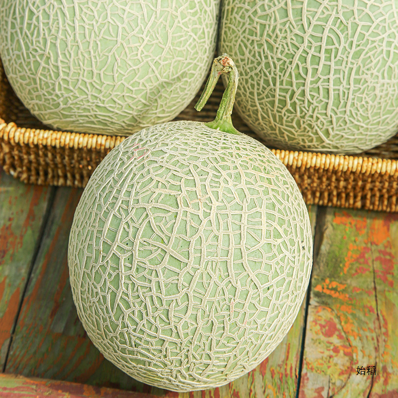 Hainan Meilong Honeydew Melon 4.5kg Cantaloupe Fresh Fruit Seasonal Exquisite Ice Cream Milky Plum Sweet