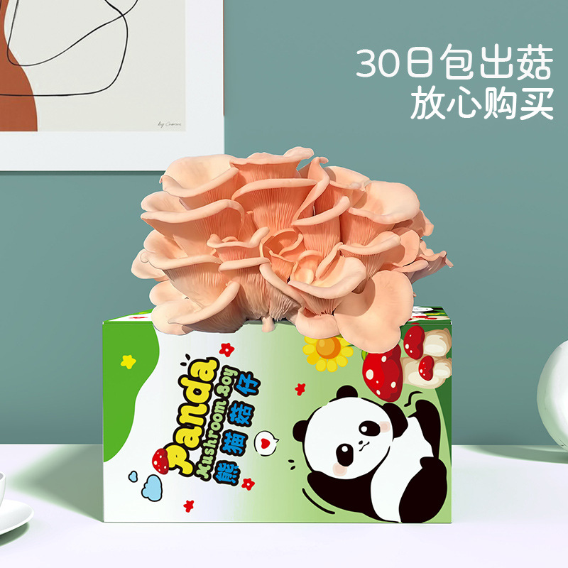 Mushroom Box Gift Box Oyster Mushroom Planting Package Edible Fungus Panda Green Plant Kindergarten Breeding Box Bagged Gift