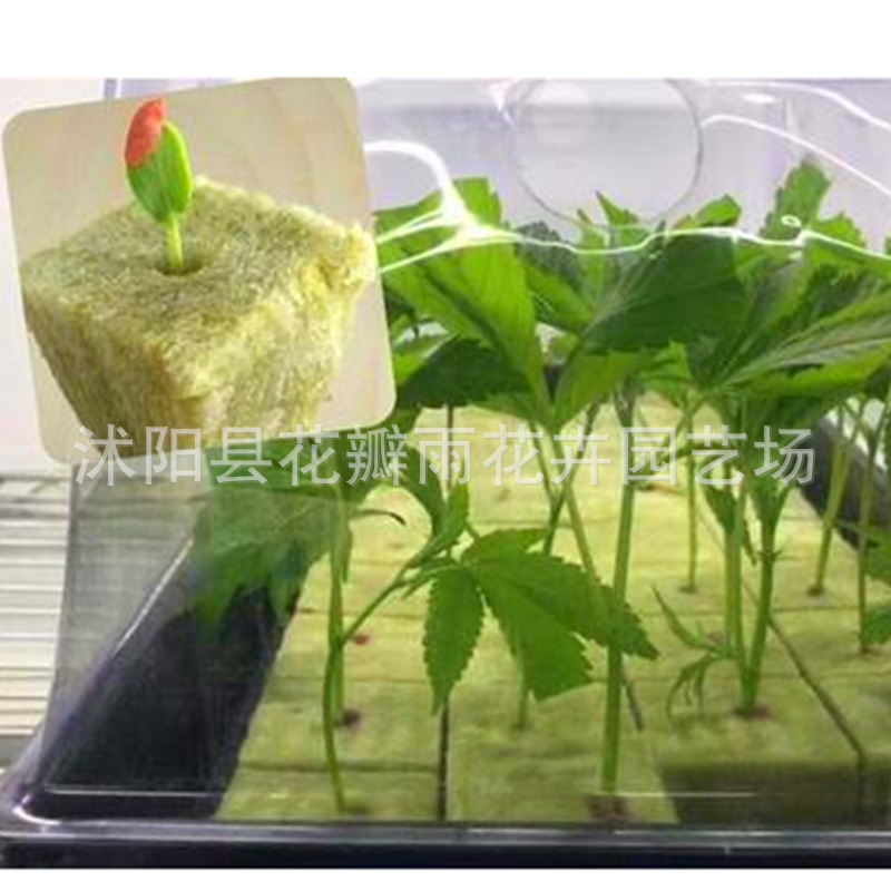 Imported agricultural soilless culture substrate seedling block modern agriculture hydroponics planting rock wool melon and fruit planting