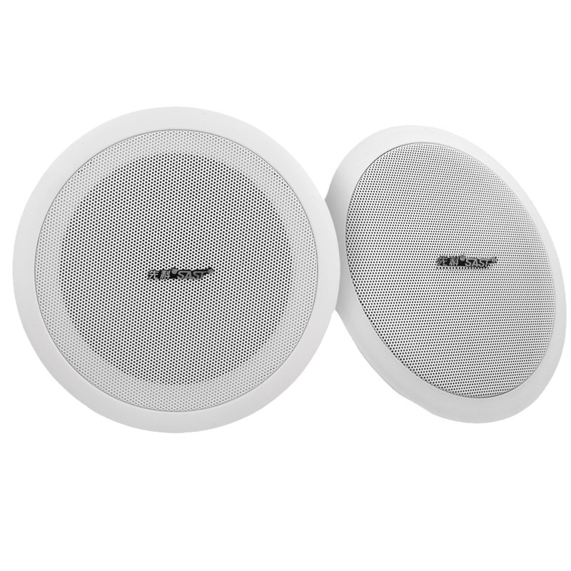 Ceiling Speaker Ceiling Audio Store Fixed Pressure Public Broadcasting Background Music Ceiling Speaker