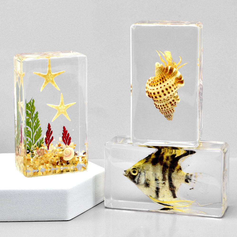 Transparent Resin Brazilian Turtle and Crab Specimens, Home Decoration Small Ornaments, Direct Source Supply, Business Gifts, Promotional Items, Crystal
