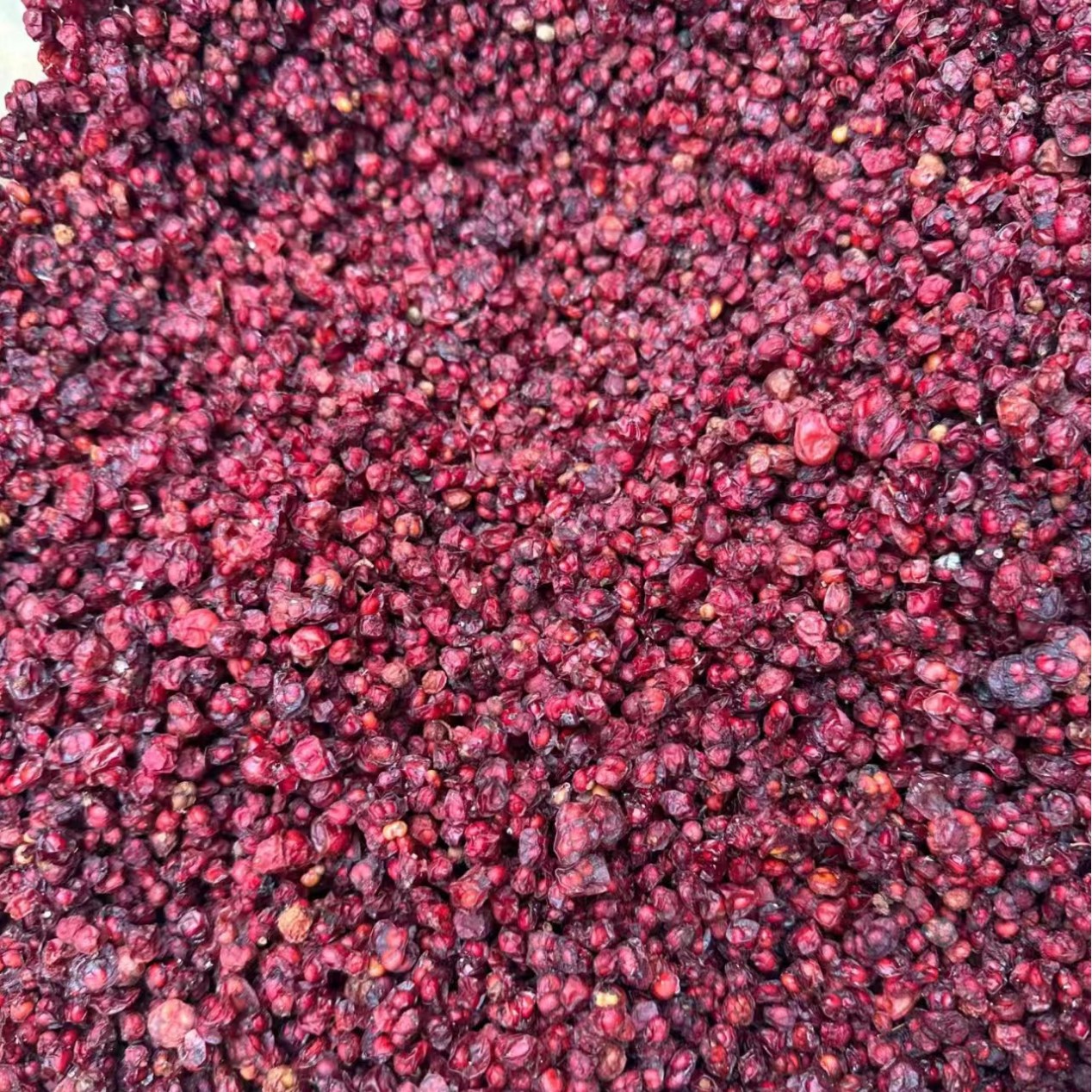 Schisandra Changbai Mountain Chinese Medicinal Materials Genuine New Seeds Northern Schisandra Powder Small Red Fruit Wild Tea Water Nourishing Franchise