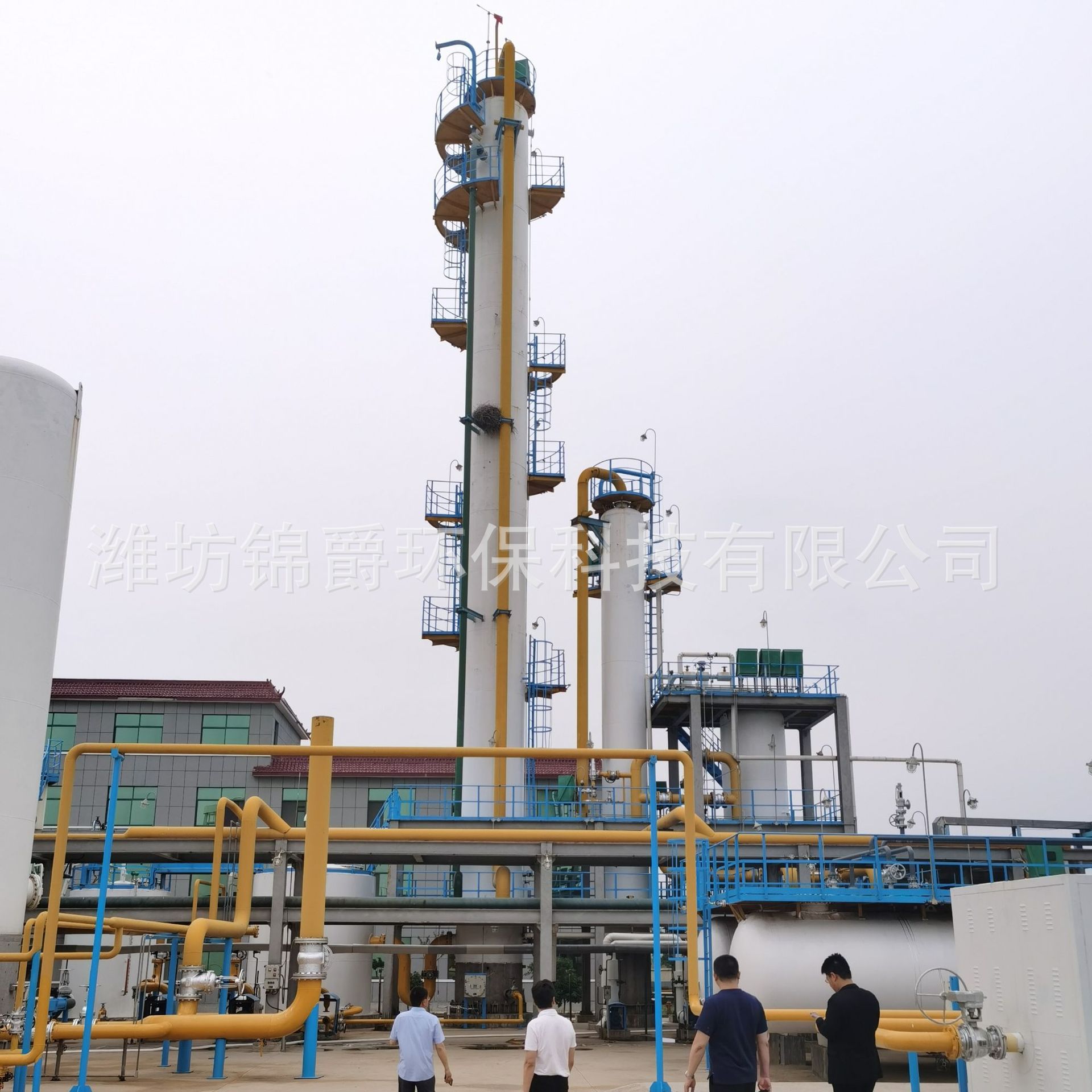 Biogas Dry Desulfurization Tank Equipment Biogas Complete Desulfurization Tower Biogas Purification Equipment Customization Jinjue Environmental Protection