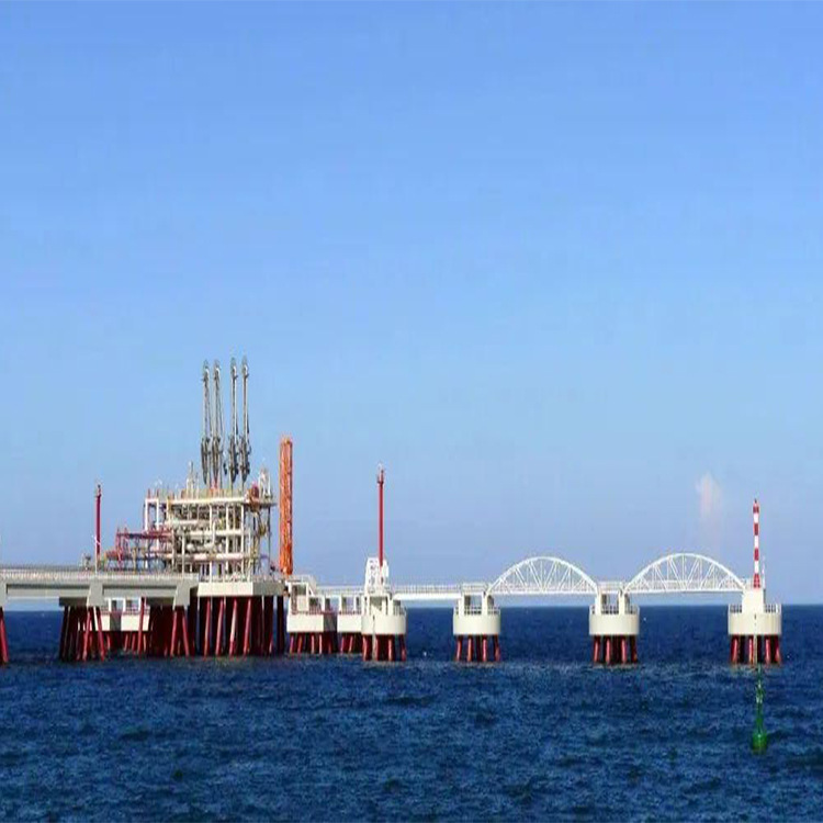 Lng Supply Реальный и безопасный сжиженный газ, портативная экологически чистая кухонная утварь для экономии энергии, гриль для рыбы