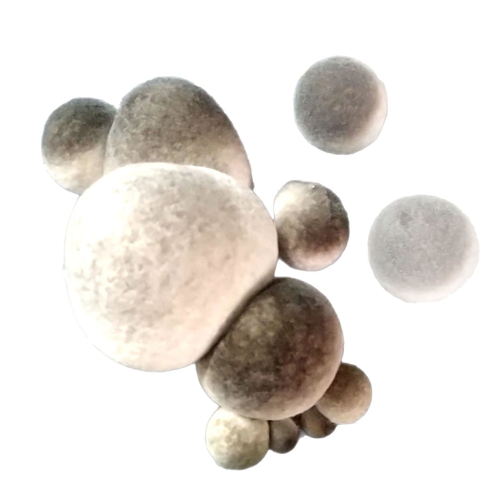 Grass Mushroom Spawn Seeds Are Supplied All Year Round, Producing Mushrooms Evenly. We Have Our Own Farms and Also Use Industrialized Edible Fungi Cultivation Indoors