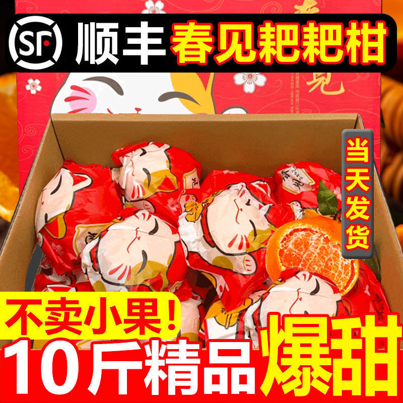 Sichuan Meishan Raking Mandarin Authentic Pujiang Chunjian Raking Mandarin Seasonal Fresh Fruit Non-Ugly Mandarin