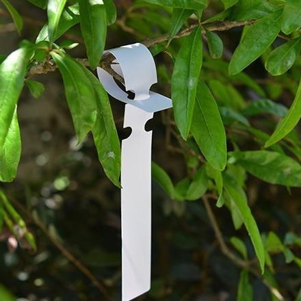 Gardening ring cover label label ring waterproof seedling sign orchid plant flower sign PVC tag