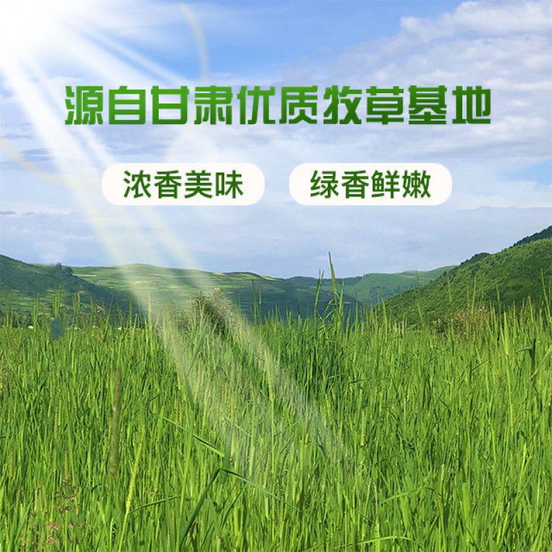 Year's Special Grade Timothy Dry Grain-Free Chinchilla Guinea Pig Guinea Pig Feed Sun-Dried Teething Feed