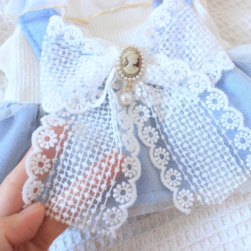 Pet dog autumn and winter similar princess skirt traction buckle pet clothes dog teddy bear cat strap dress