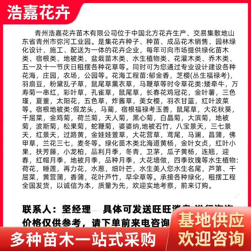 Multi-Color Green Leaf Alum Root Seedlings Potted Plants, Cold-Resistant and Cold-Resistant Potted Plants, Easy to Grow Indoor Foliage Flower Seedlings, Alum Root Seedlings