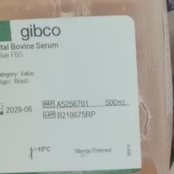 492025 Thermo Fisher Dynamag-Pcr Magnetic Rack