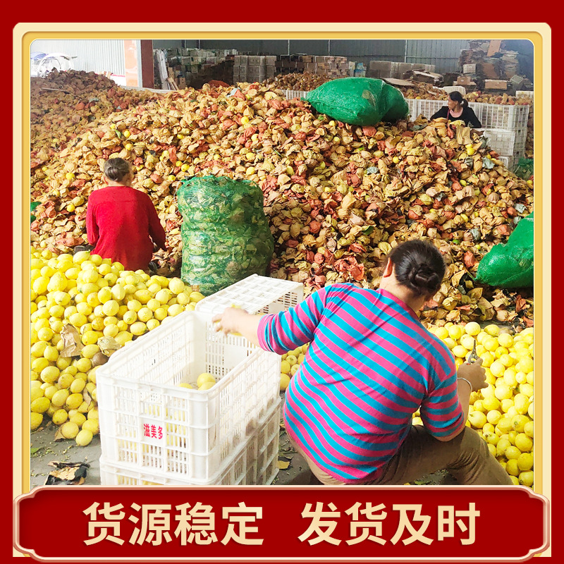 Wholesale Sichuan Anyue Lemon Fresh Fruit First-Class Fresh Fruit Origin Direct Wholesaler Super Yellow Lemon Drop Shipping