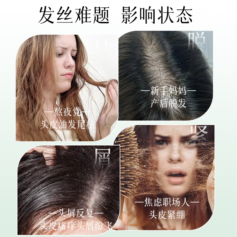 Aromatherapy Essential Oil Shampoo and Conditioner, Silicone-Free Plant-Based Care and Nourishing Care Set, Hospital Line Private Label