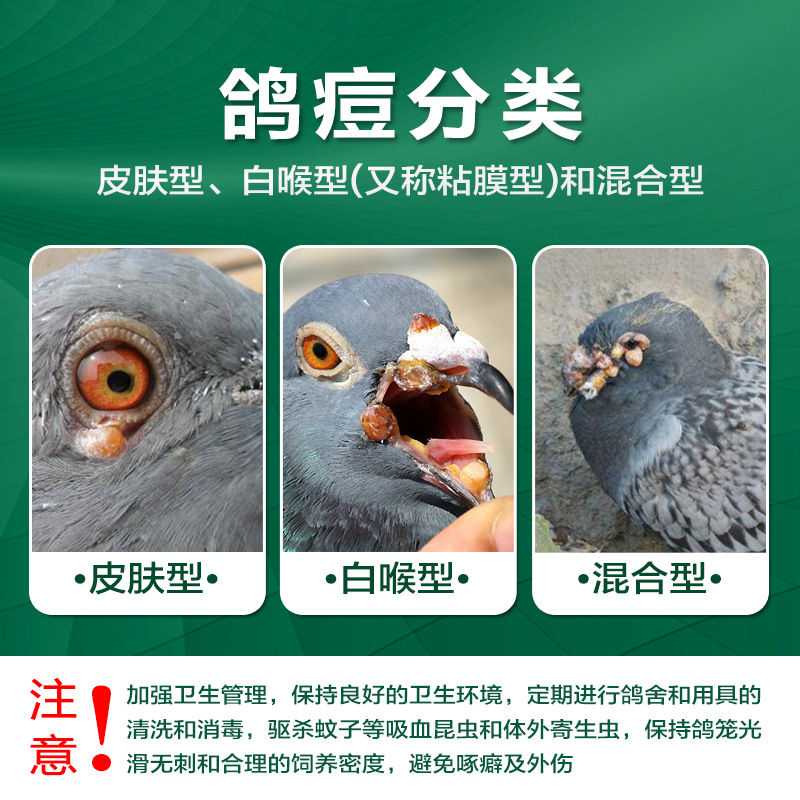 痘力康100片/瓶 皮肤型粘膜型鸽痘病毒感染鸽痘灵鸽子常用药大全