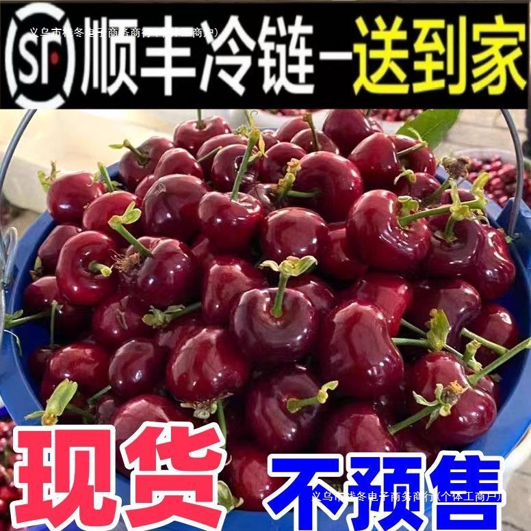 Cherry Special Large-Sized Cherry with Juicy Flesh Imported Cherry Fresh Fruit Wholesale Price