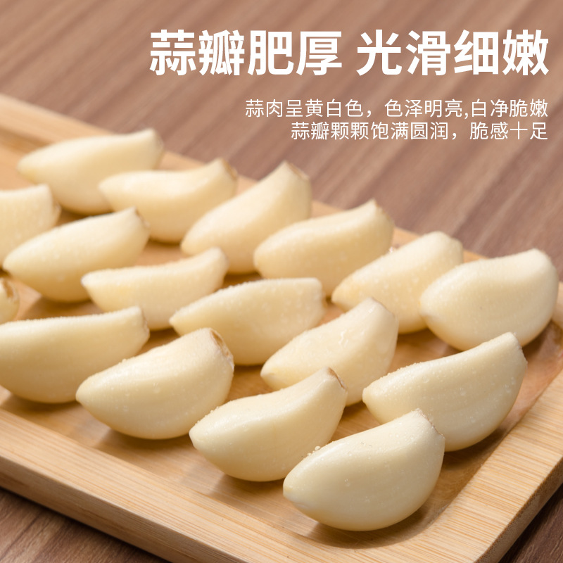[Factory] Shandong Garlic Dried Fresh Garlic Purple White Skin Jinxiang Garlic Cove Seasonal New 0.50kg 2.50kg Wholesale