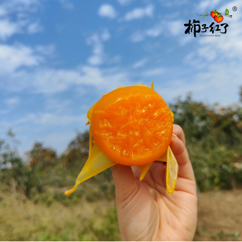 Persimmon Red Fuping Persimmon Persimmon Cake Flow Heart Roasted Persimmon Sweet Waxy Frost Persimmon Tip Persimmon Core Dynamic Ice Persimmon Agricultural Products Batch