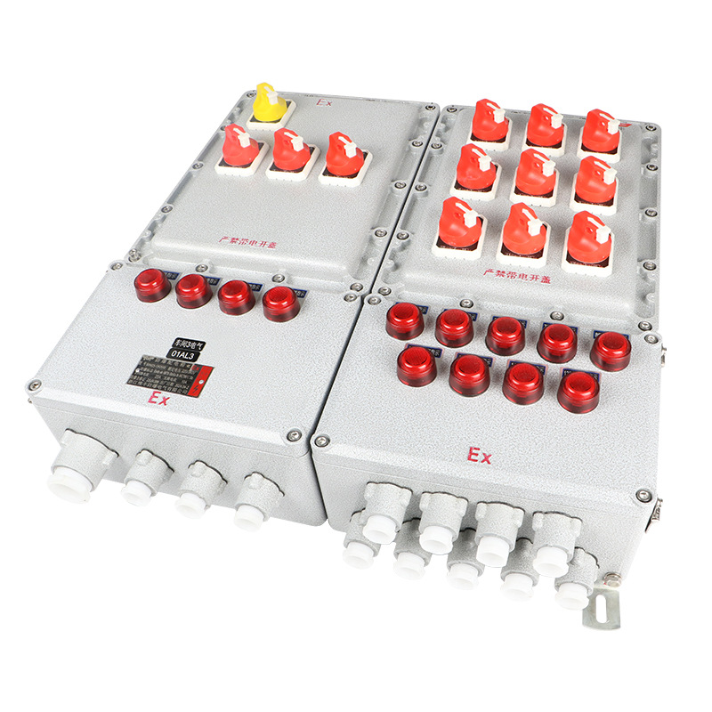 Explosion-Proof Distribution Box Maintenance Junction Box Power Instrument Positive Pressure Cabinet Button Control Switch Terminal Box Socket Box Factory