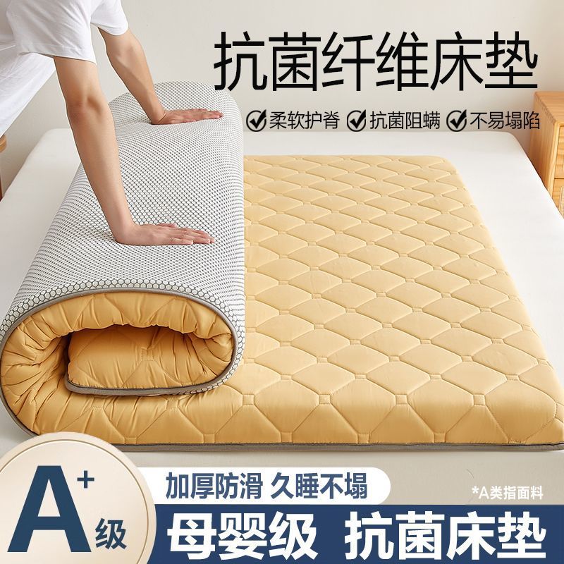 Mattress Cushion Student Dormitory Single Cushion Special for Rental Room Bedroom Bedroom Folding Tatami