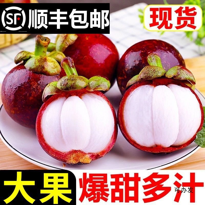 Fresh Mangosteen Sf Cold Chain 0.5kg-2.5kg Seasonal Large Fruit Wholesale Independent Station