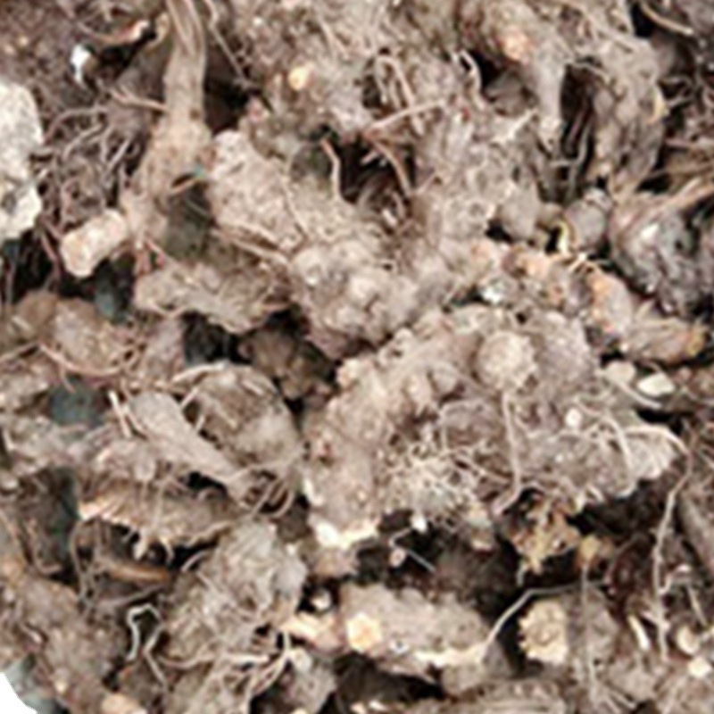 Atractylodes, Atractylodes, Grown in the Field of Qinba Mountain Areas, Sulfur-Free and Moth-Free, All-Dry Origin, First-Hand Supply Manufacturer Wholesale