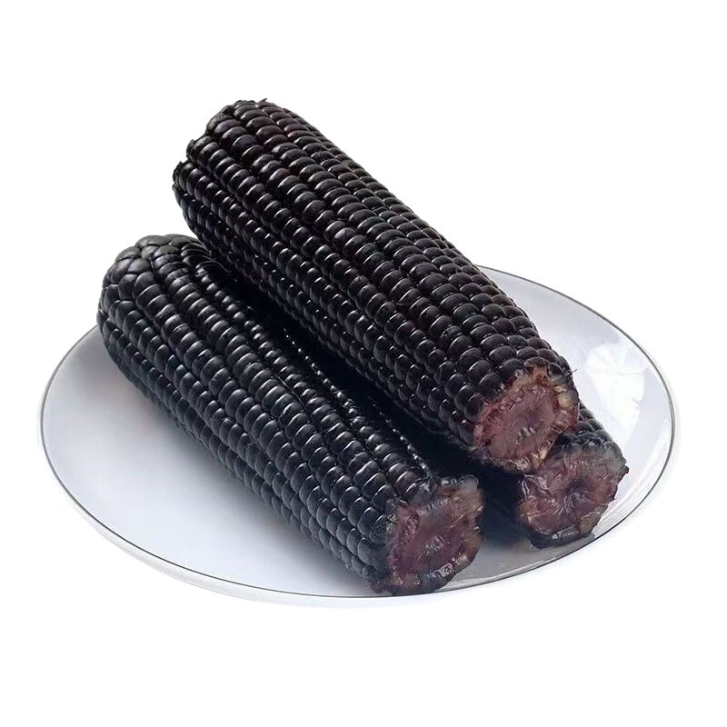 New Arrival Nuoxixi Black Glutinous Corn Sweet Sticky Corn Vacuum Packaging