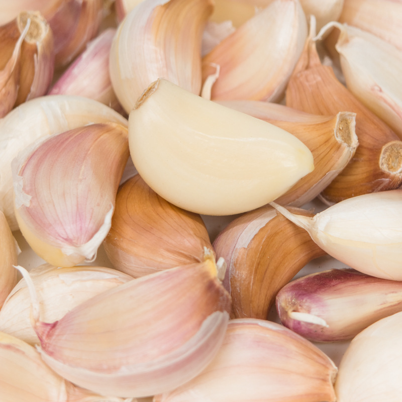 [Factory] Shandong Garlic Dried Fresh Garlic Purple White Skin Jinxiang Garlic Cove Seasonal New 0.50kg 2.50kg Wholesale