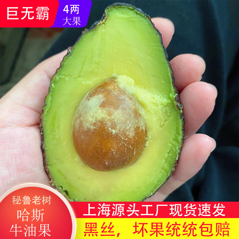 Avocado Large Fresh Fruit 15 Pieces in Season Ripe Ready-To-Eat Avocado Cream Baby Food Supplement Whole Box