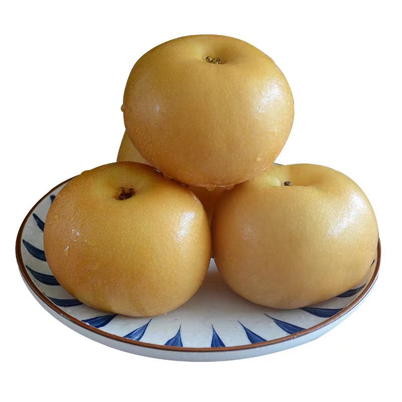 Yantai Qiuyue Pear's Own Orchard Fresh Fruit Picking Fengshui Nanwater Pear Fruit Crisp and Sweet One Piece Wholesale