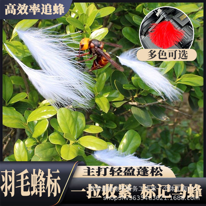 Wasp Bee Label Gold Ring Bee Label Bee Luring Label Wasp Special Wasp Bee Label Exclusive Automatic Bee Label Wholesale Price